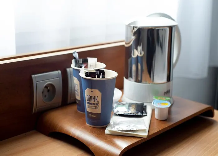 克莱蒙费朗中心基里亚德酒店 酒店